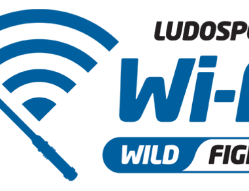 Wi-Fi 2015 – Combattimenti liberi a lezione