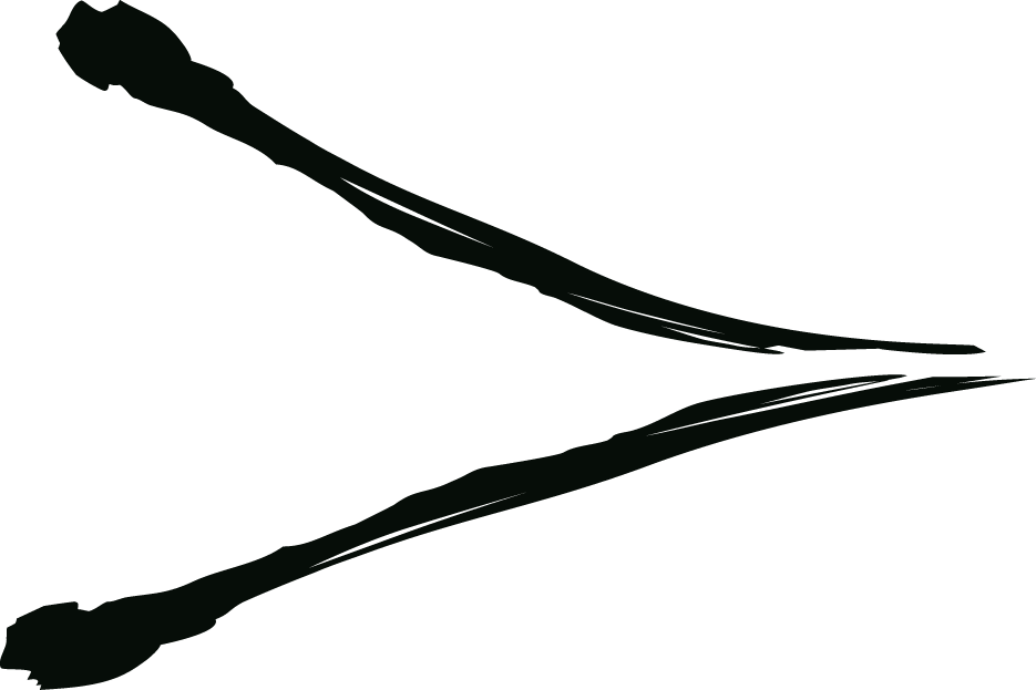 Forma 2 – Esplosiva